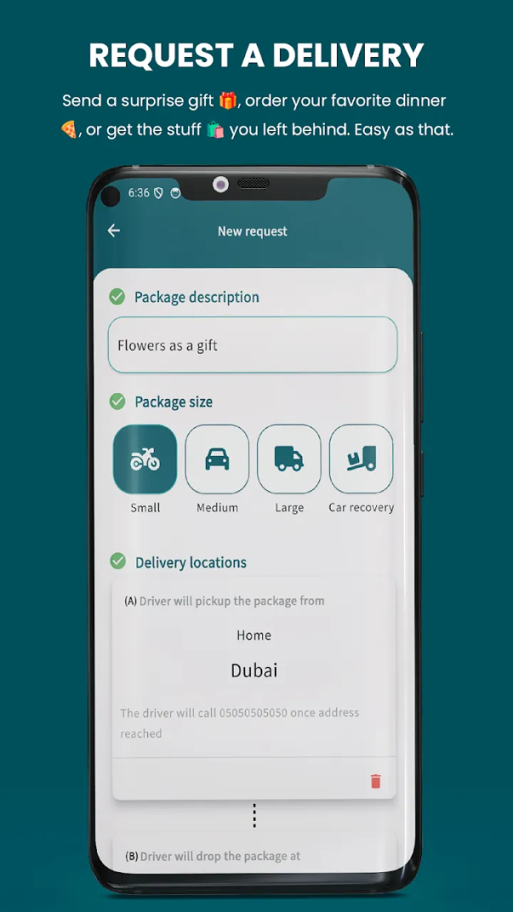 Delivery request form with package description, package size options and pickup and drop-off locations.